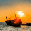 virtart_gallery cyriloart virtart cyrilo virtartgallery GIF
