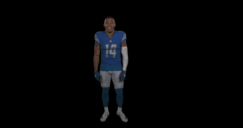 St Brown Football GIF by Detroit Lions