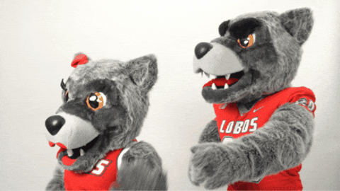 New Mexico Lucy GIF by UNM