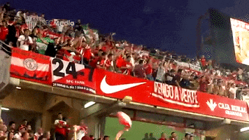 Sevilla Fc Fans GIF by Sevilla Fútbol Club