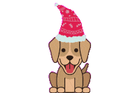 Tiermeldungszentrale_de dog christmas weihnachten weihnachtsmütze Sticker