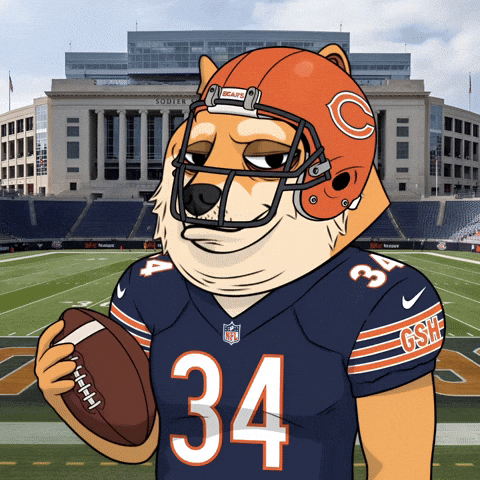 Sad Chicago Bears GIF by Doge Pound