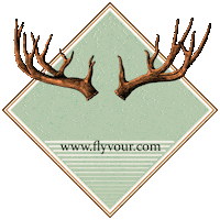 Relax Explore Sticker by FlyVour