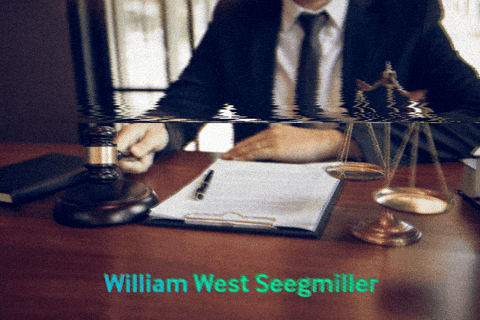 williamwestseegmiller giphygifmaker GIF