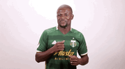 portland timbers dancing GIF by Timbers
