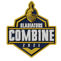 Nfl Elf Sticker by Gladiators Football