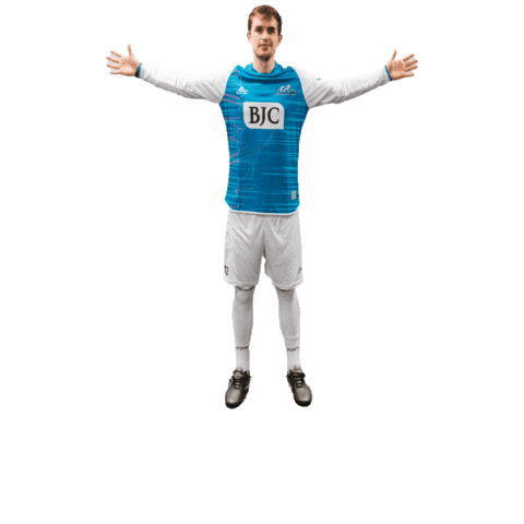 Riseasone Sticker by St. Louis Ambush