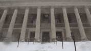 snow library GIF by Harvard University
