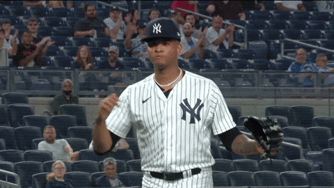 Happy New York Yankees GIF by YES Network