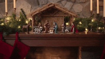 nativity scene gone wild