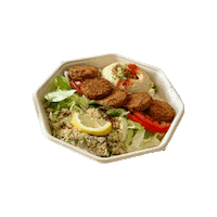 kebaplovers vegan veggie kebab yumm Sticker