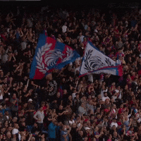 Premier League Fans GIF by CPFC