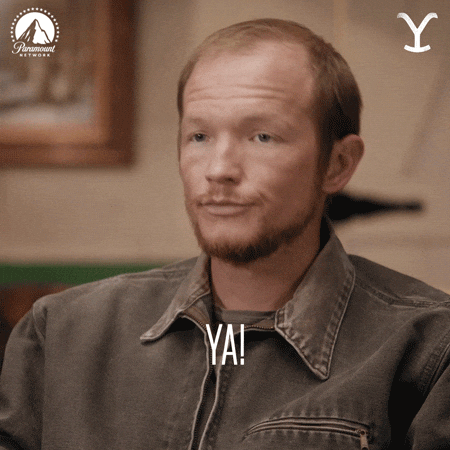 GIF by Yellowstone