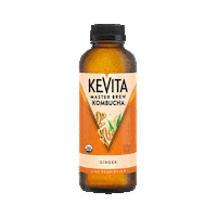 Ginger Kombucha Sticker by KeVita Drinks