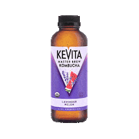 Kombucha Melon Sticker by KeVita Drinks