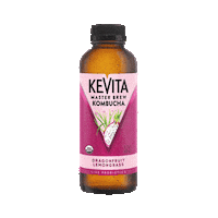 Kombucha Probiotics Sticker by KeVita Drinks
