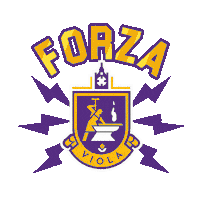 Forzaviola Sticker by Imaji FC