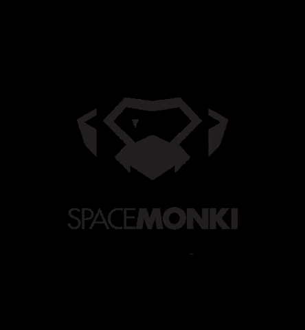 spacemonki techno spacemonki GIF