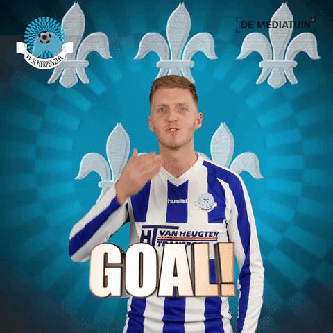 Voetbalvereniging_Scherpenzeel giphyupload goal win score GIF