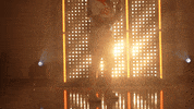 Oklahoma State Softball GIF by NCAA Championships