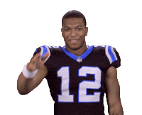 carolina panthers sticker by NFL