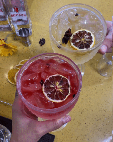 modices drink gin tonic gin tonica GIF