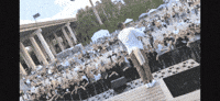 Boldbeats GIF by Sam McGrath