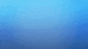 25Thanniversary Genetec GIF by youvillehaussmannparkYHP