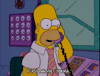 homer simpson episode 20 GIF