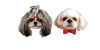 Nancy Choi Sticker