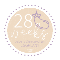 28 Weeks Pregnancy Sticker by Audrey & Bear