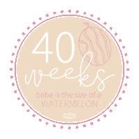 Pregnancy Baby Bump Sticker by Audrey & Bear