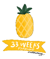 Fruit Pregnancy Sticker