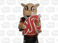 Washington State Go Cougs GIF by WSU Pullman