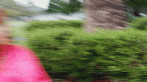 AmplifyProcurement giphyupload shock shook disgusted GIF