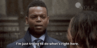 Do Whats Right Dick Wolf GIF by Wolf Entertainment