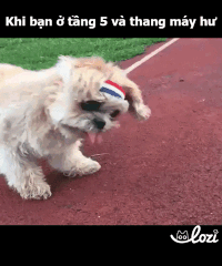 duong-gif19 GIF by Lozi Singapore Co.