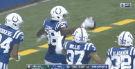 Regular Season Football GIF by NFL