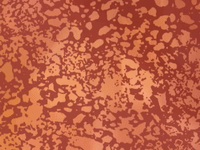 season 8 episode 6 GIF by SpongeBob SquarePants