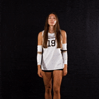 Point Volleyball GIF by Purdue Fort Wayne Athletics