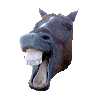 Comedy Laugh Sticker by imoji