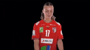 Wildcats Hbf GIF by Handball Bundesliga Frauen