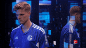 Schalke S04 GIF by Bundesliga