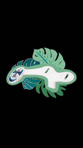 LuxeBidet giphyupload toilet bidet luxebidet GIF