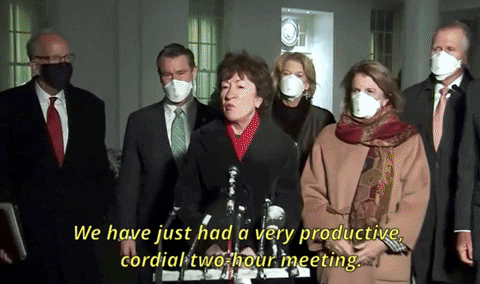 Susan Collins GIF by GIPHY News