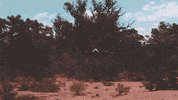 Flying Concept Car GIF by Airspeeder