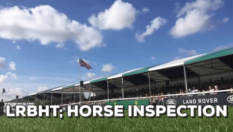 lrbht giphygifmaker GIF