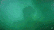 The Joker Smile GIF by Xbox