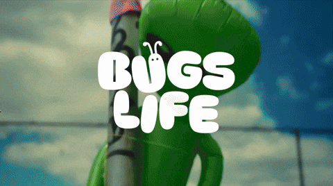 mayipimpabutterfly giphyupload musicvideo bugslife kevinholliday GIF