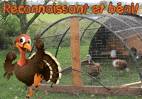 German Thanksgiving GIF